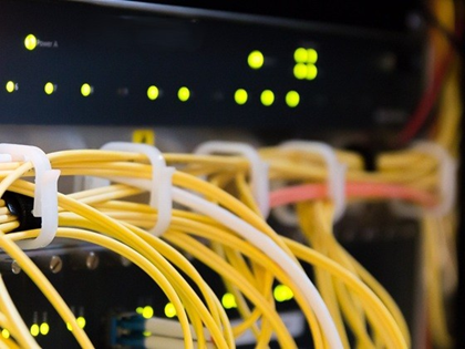 Netzwerkkabel und Server